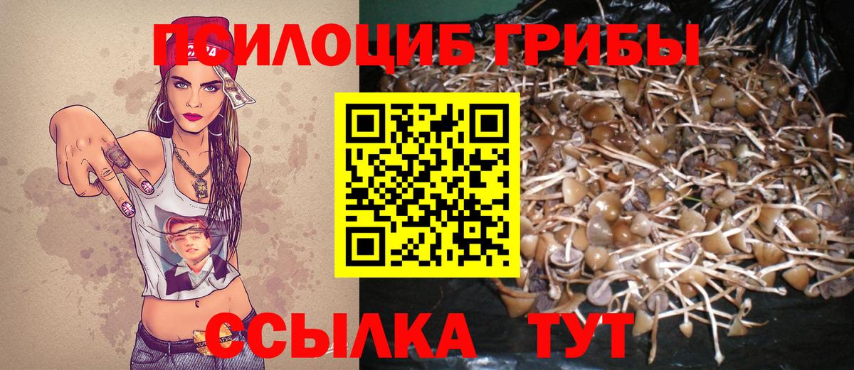 Галлюциногенные грибы Cubensis Кубинка