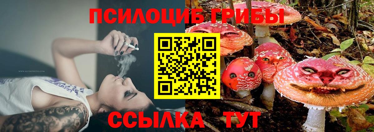 Кубинка  Псилоцибиновые грибы MAGIC MUSHROOMS  Вход с VPN  Галлюциногенные грибы Psilocybine cubensis 